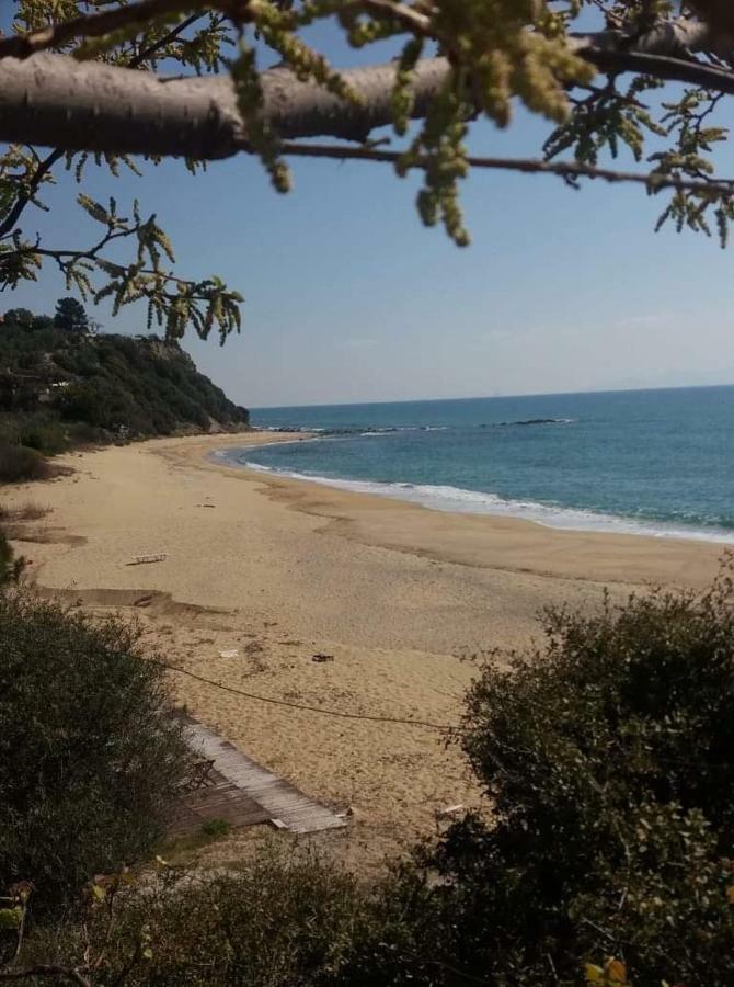 Elegant Apartment Near The Beach Néa Péramos エクステリア 写真